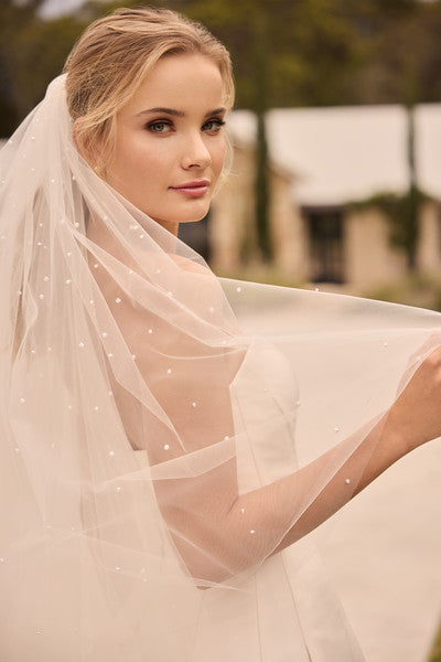 Y3166Veil